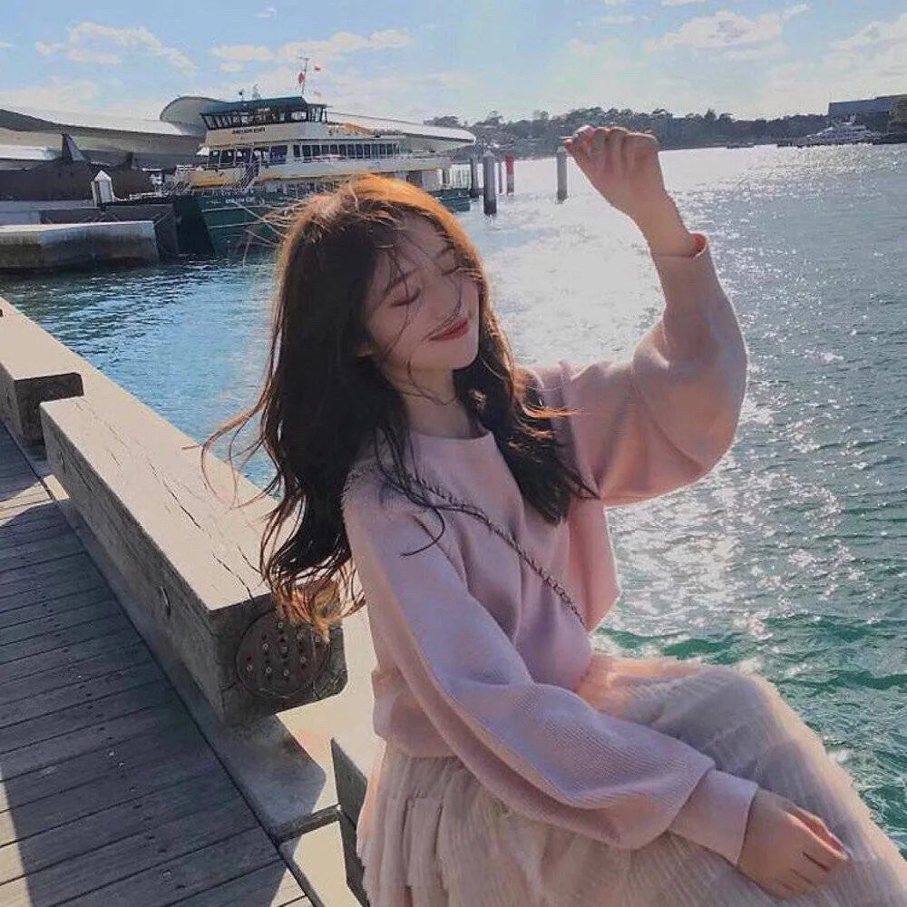 菊石 海报